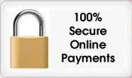 100 percent secure online payments