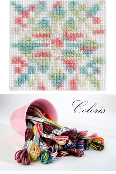 DMC Coloris Floss: Wildflowers 4501 Cross Stitch Thread