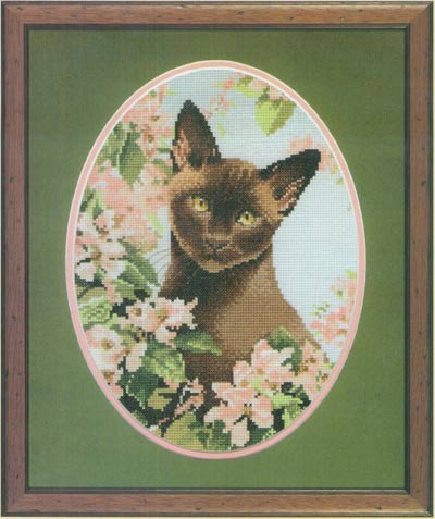 Burmese Cat Cross Stitch Leaflet