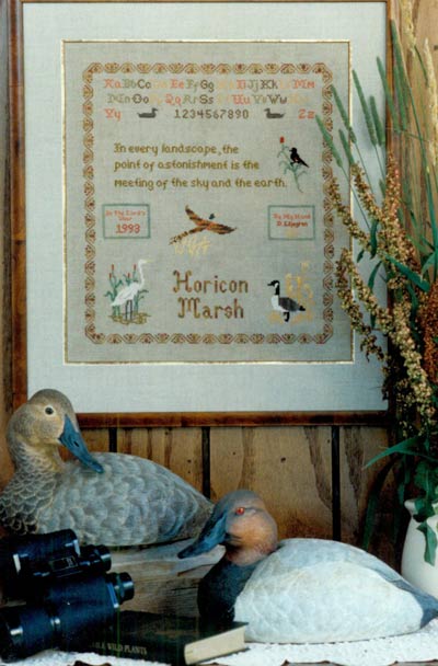 Horicon Marsh Cross Stitch Leaflet