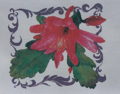 Epiphyllum Number 1, Tropical Cactus Collection Cross Stitch Leaflet