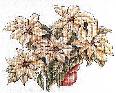 White Poinsettia Cross Stitch