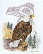 The Eagle - Original Artwork by Sue Coleman Cross Stitch