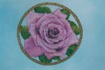 A Rose for every Season - Winter Cross Stitch